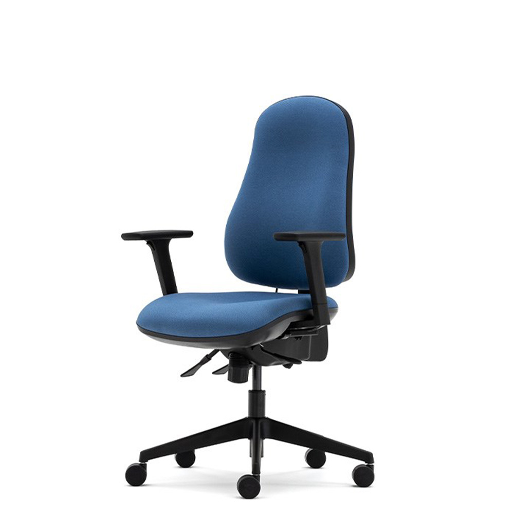 Orthopaedica 90 chair angled to show height-adjustable backrest and base together.