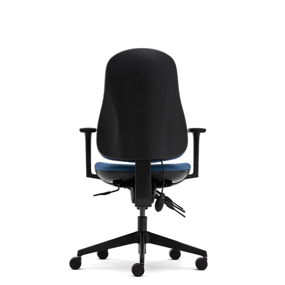 Back angle of Orthopaedica 90 ergonomic office chair showing adjustable backrest, pump up lumbar and black components.