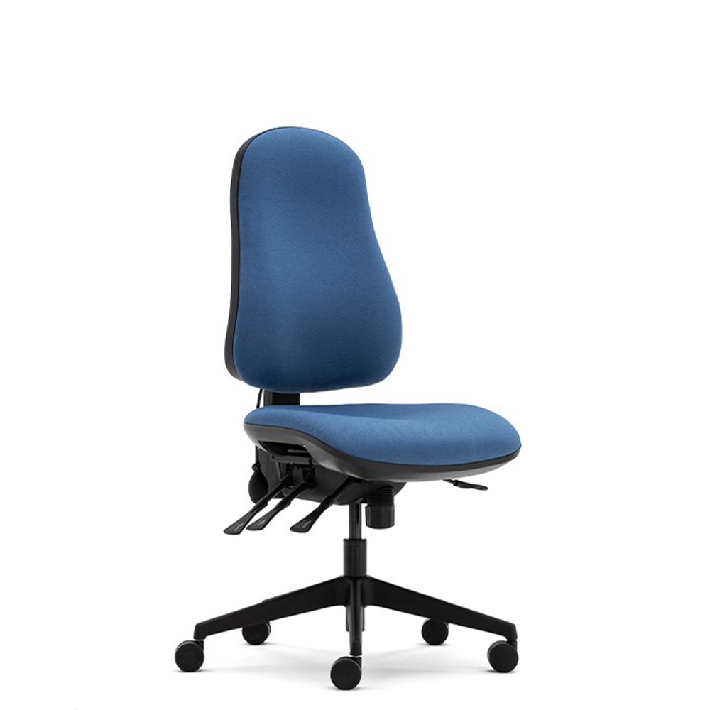 Torasen Orthopaedica 90 chair with independent seat and back locking mechanism, pump up lumbar - side angle.