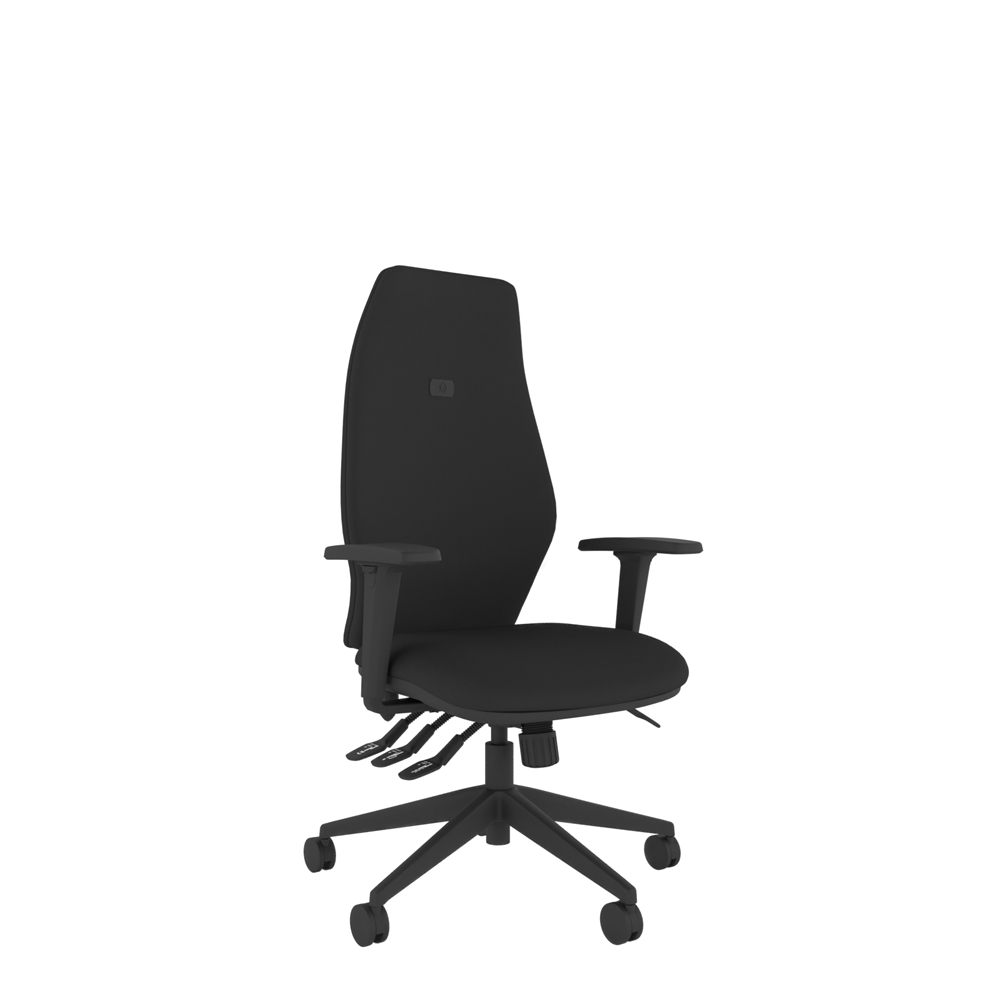 Professional ergonomic task chair with extra high back, inflatable lumbar support and heavy duty mechanism