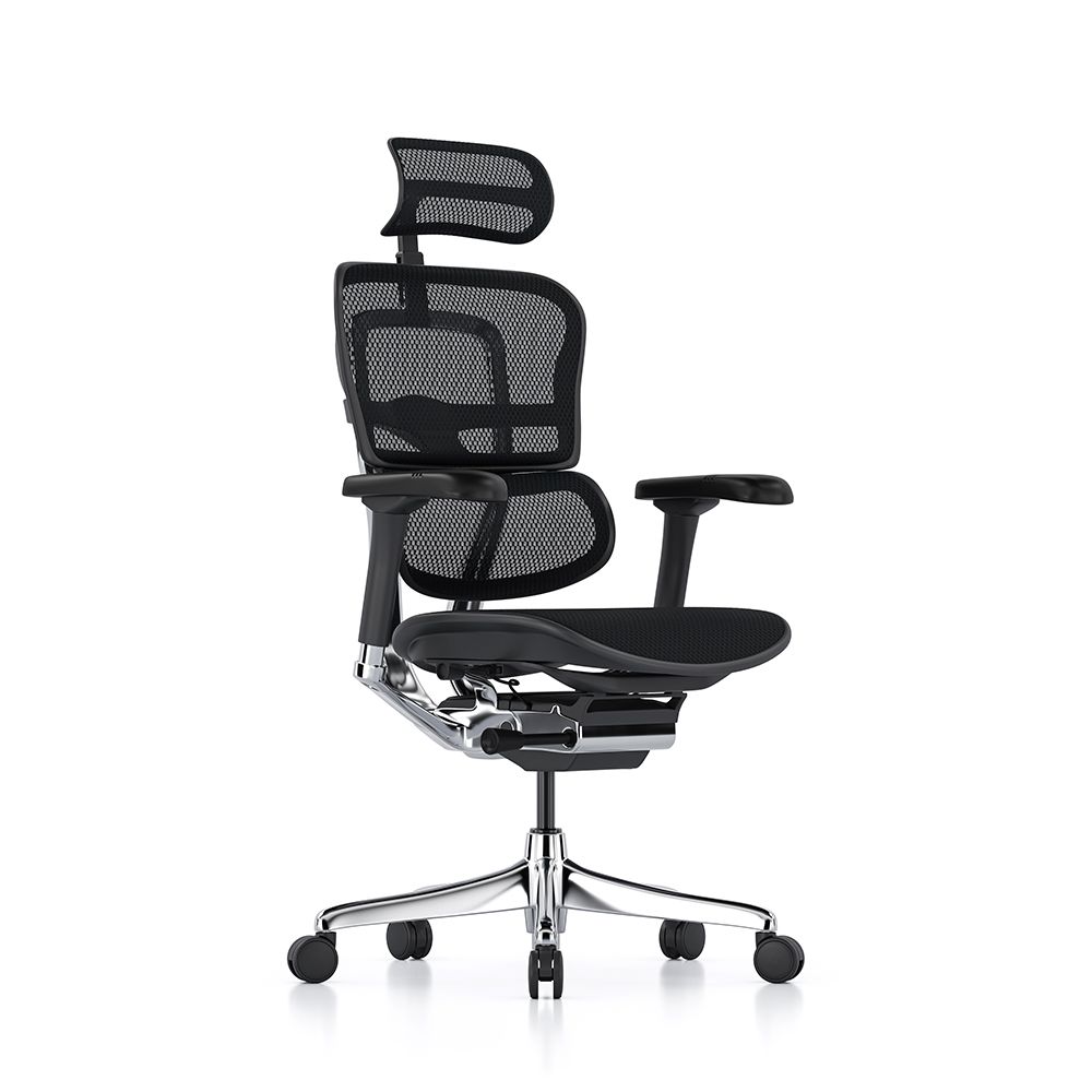 Ergohuman Elite G2 - Ergonomic office chair with high back, headrest, adjustable arms and a range of seat and back adjustability features.