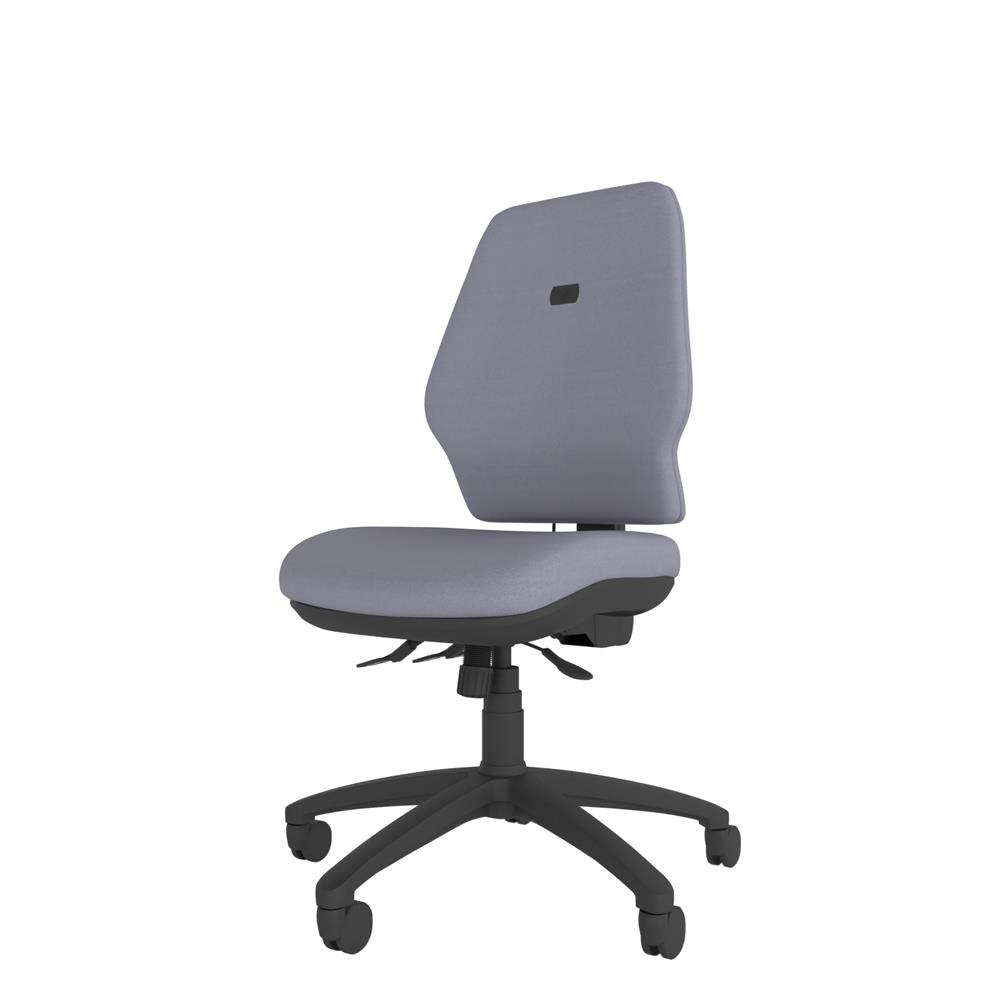 Modern ergonomic chair with a high back, ideal for office and home workspaces requiring comfort and flexibility. No arms, black features and 5 star base.