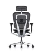 Back view - ergonomic, Ergohuman Elite G2 chair shown in black mesh with polished chrome frame and base features.