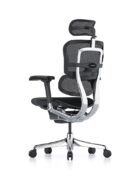 Back view of the Ergohuman Elite G2 Black Mesh Office Chair