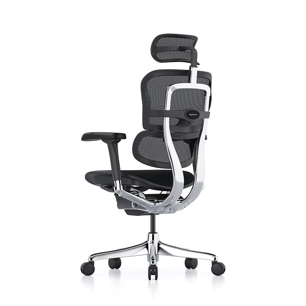 Back view of the Ergohuman Elite G2 Black Mesh Office Chair