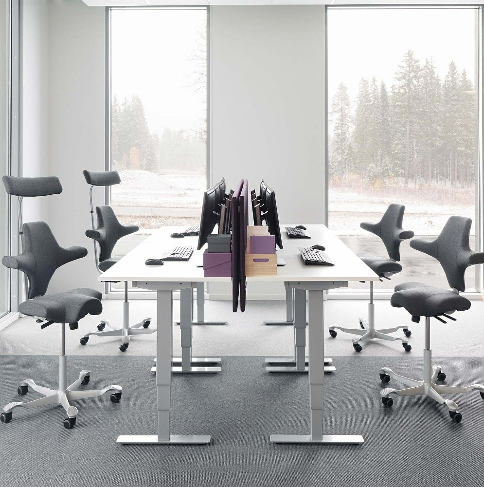Lifestyle Office Image - Flokk HÅG Capisco chair showing contoured saddle seat and adjustable backrest, seats shown with and without neck/head supports being used at a sit stand desk setup.