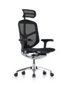 Enjoy Elite G2 ergonomic office chair with mesh back and adjustable lumbar and neck support.