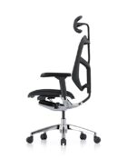 Enjoy Elite G2 chair in free-float recline mode for dynamic movement. Includes mesh back, headrest, 5D adjustable arms and polished chrome base.