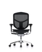 Enjoy Elite G2 seat slide and forward tilt mechanism, mesh back, lumbar support and adjustable arms.