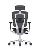 Ergohuman Elite G2 ergonomic mesh back chair with multi-adjustable armrests, head rest, and waterfall seat