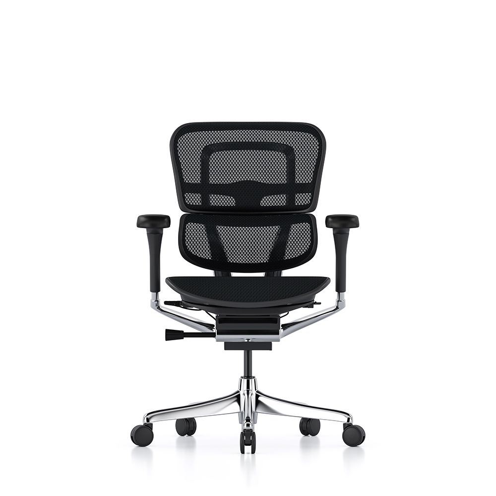 Close-up of Ergohuman Elite G2 lumbar support and breathable mesh backrest