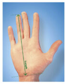 The hand length measurement of dimensions for ergonomic hand positioning when using the ergonomic Handshoe SHIFT Ambidextrous Cordless Mouse.