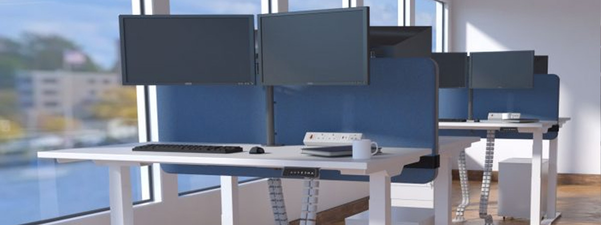 Height adjustable desking with blue desktop screens, cable spine management, and dual monitor arms. Shown in an office setting with back to back set-ups.
