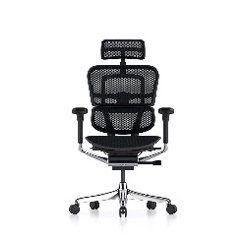 ESC36 - Comfort Ergohuman Elite Mesh Office Chair