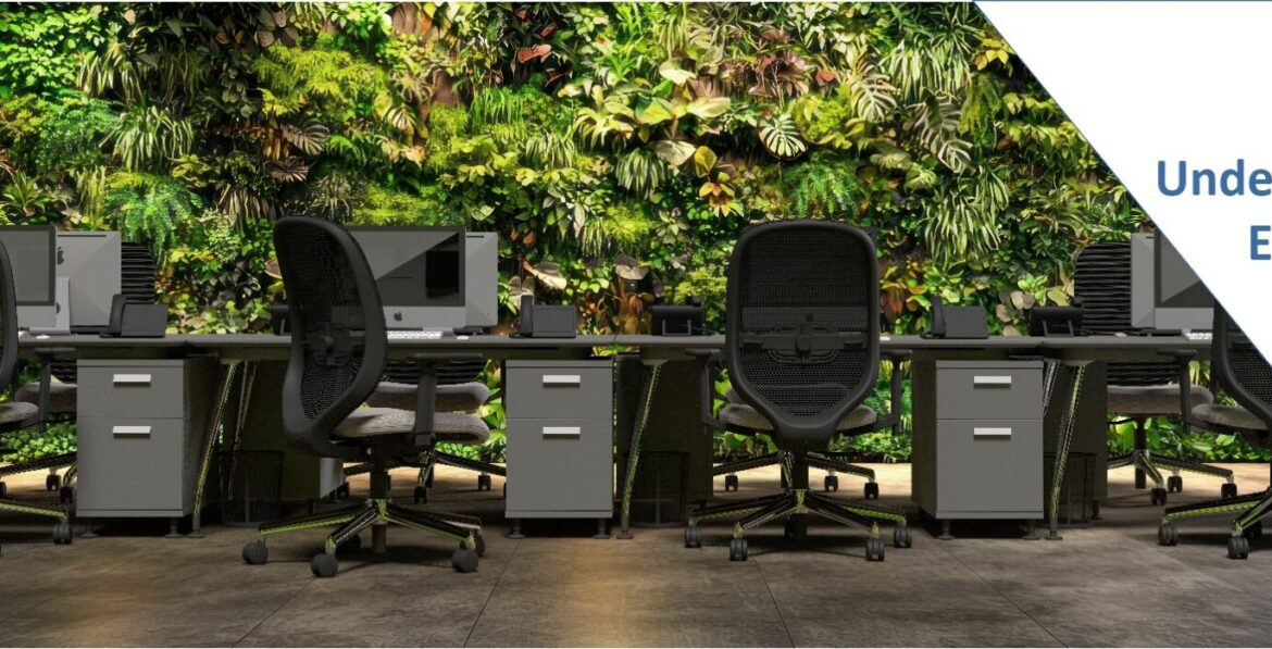 modern office with ergonomic office chairs and mesh back seating setup