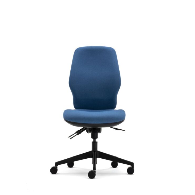 Torasen Orthopaedica 200 series task chair without arms. Fully upholstered in a dark blue fabric, independent or synchro mech, optional ergonomic features.