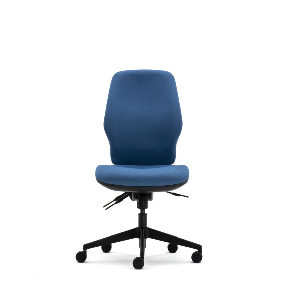 Torasen Orthopaedica 200 series task chair without arms. Fully upholstered in a dark blue fabric, independent or synchro mech, optional ergonomic features.