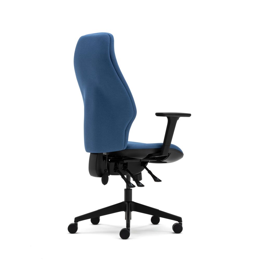 Senator Torasen Orthopaedica 300 Series Range. Ergonomic task chair with era fabric upholstery, adjustable arms and black components.