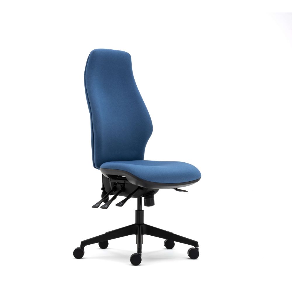 Task Chair - Torasen Orthopaedica 300 Series Range. Finished in an era fabric upholstery and black components. Choose between an independent or synchro mechanism, and ergonomic features. Supplied with 5 star castor base.