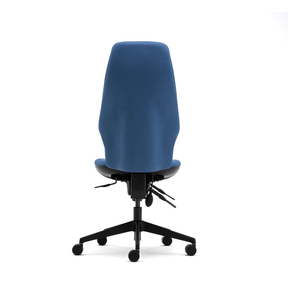 Back view - Ergonomic Task Chair. Senator Torasen Orthopaedica 300 Series Range. Finished in an era fabric upholstery and black components. Choose between an independent or synchro mechanism, and ergonomic features.